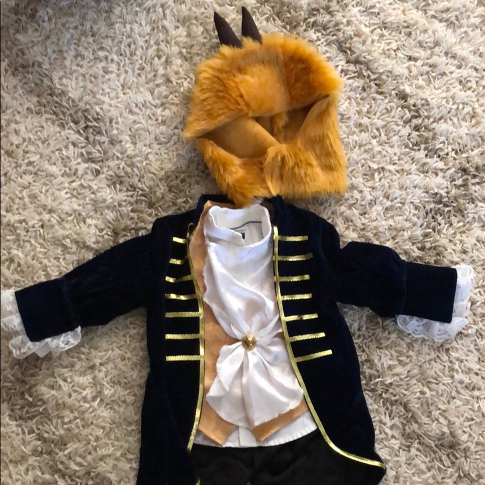Beauty and the Beast Costume